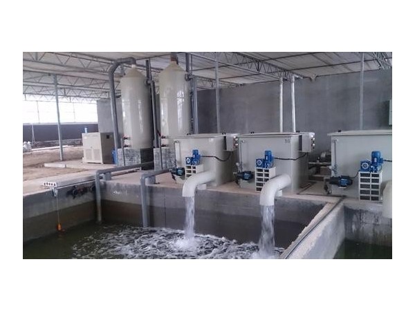 循環(huán)水除垢器，選沃肯電子除垢儀