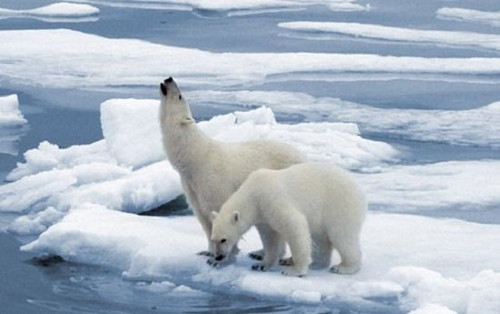 溫室效應(yīng)_副本